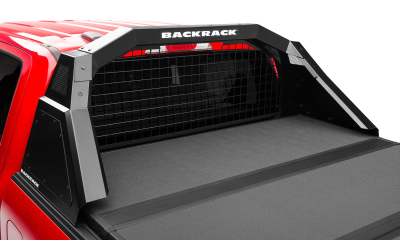 BackRack 2015-2022 Ford F-150 Cab Safety Screen - Black