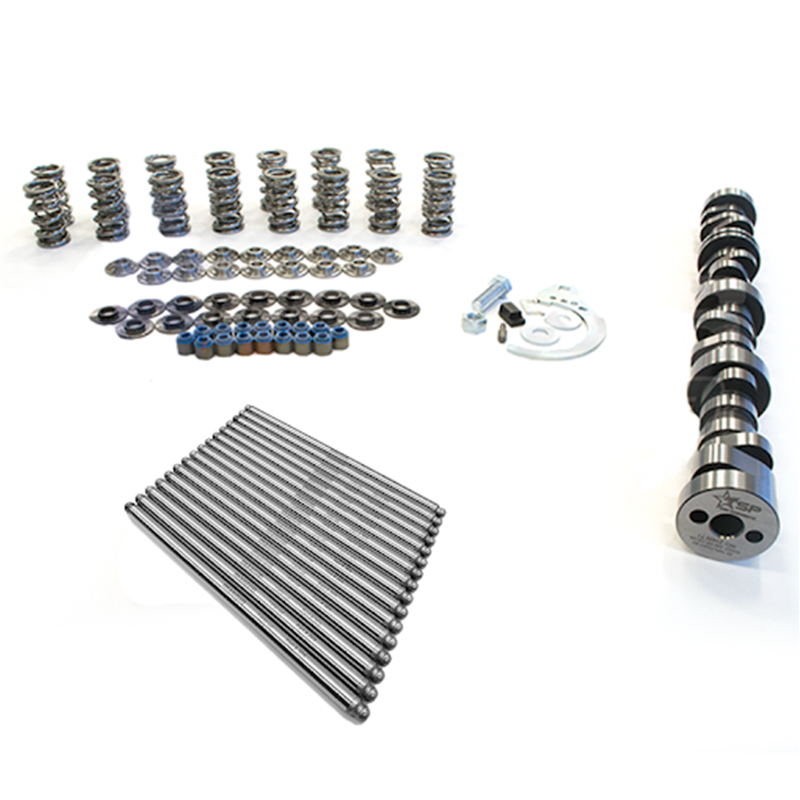 Texas Speed & Performance LT1/L86 6.2L Cam Package W/ Manton Pushrods #25-LT1CamPkg-Mant